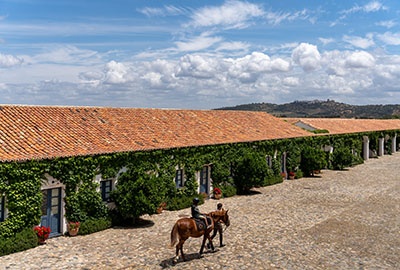 Horse riding