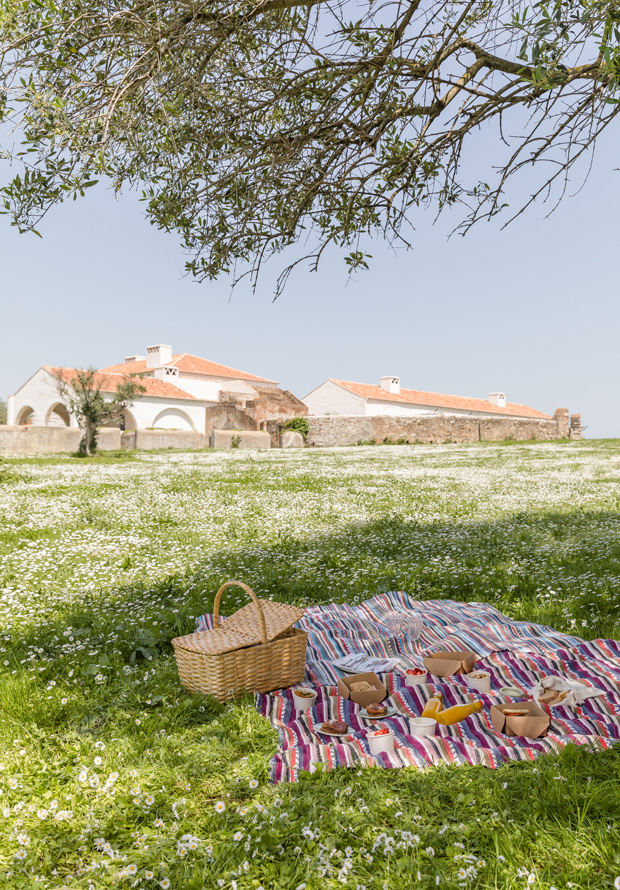 barrocal picnic
