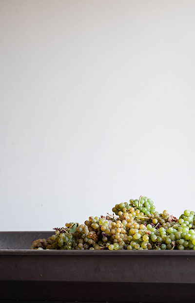 grapes