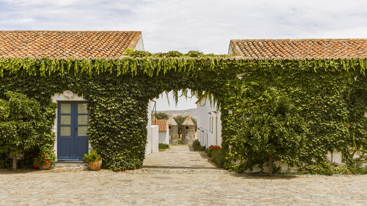 Winery room entrance