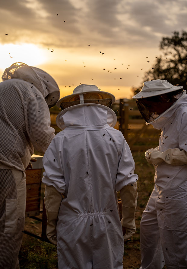 beekeepers