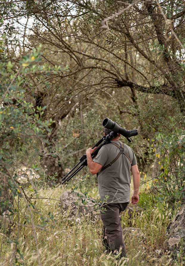 birding