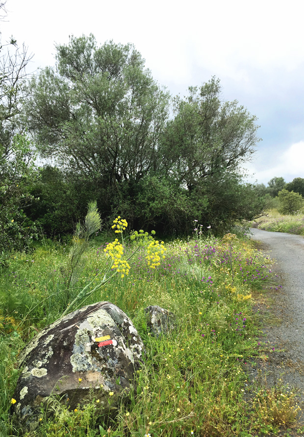trail marking