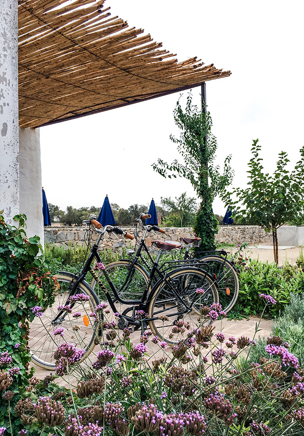 bicycles