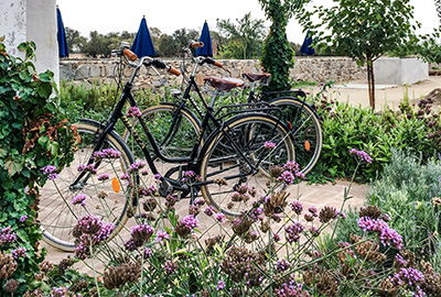Bicycle rides