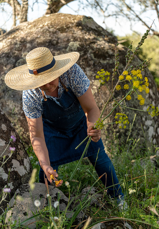 foraging