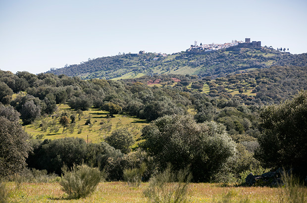 Monsaraz hilltop