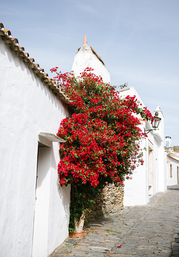 white houses