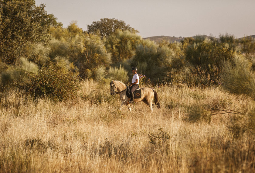 Riding the estate