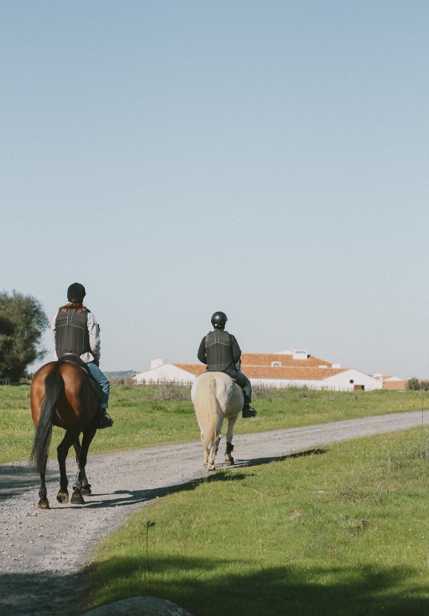 horse ride
