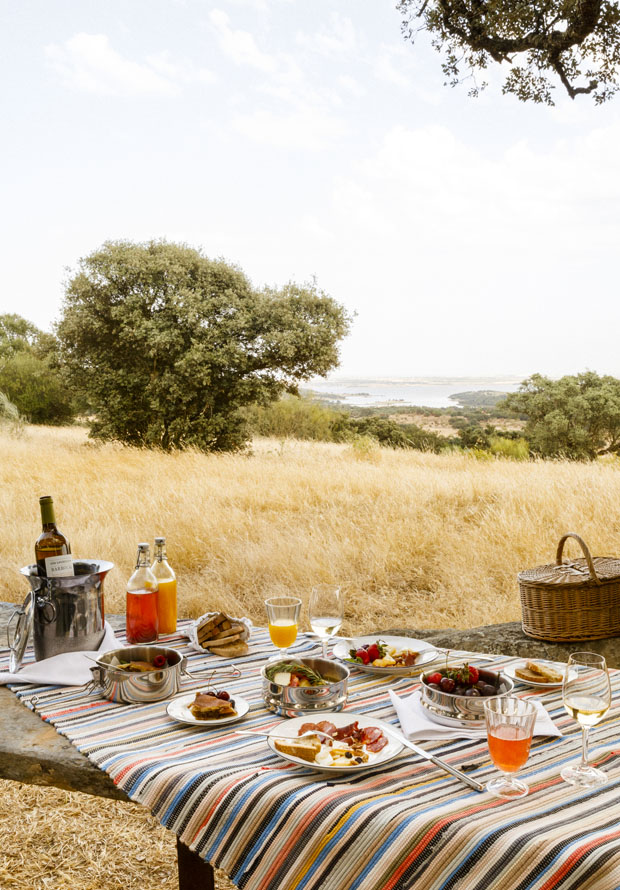 picnic