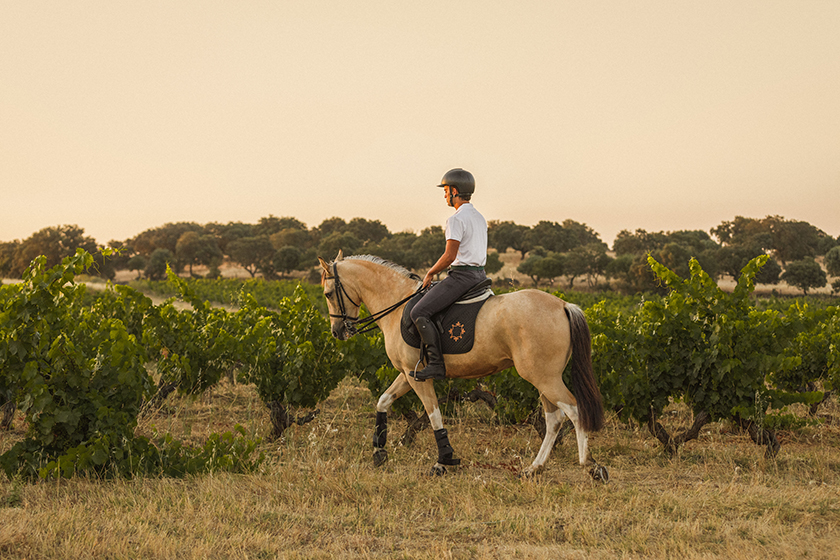 horse riding kids