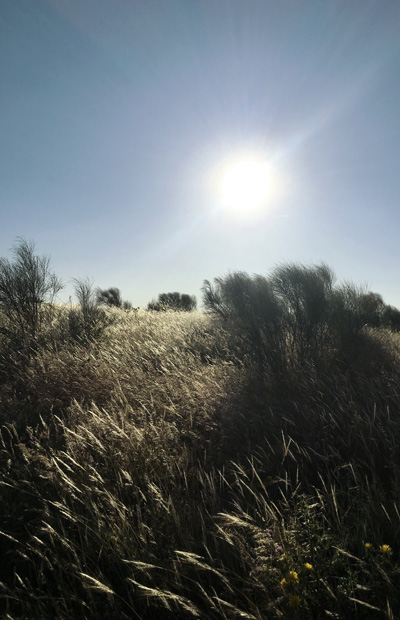 lake alqueva landscape