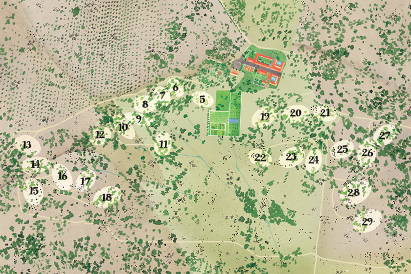 plots and architecture
