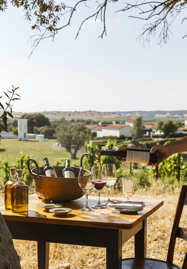 vineyards