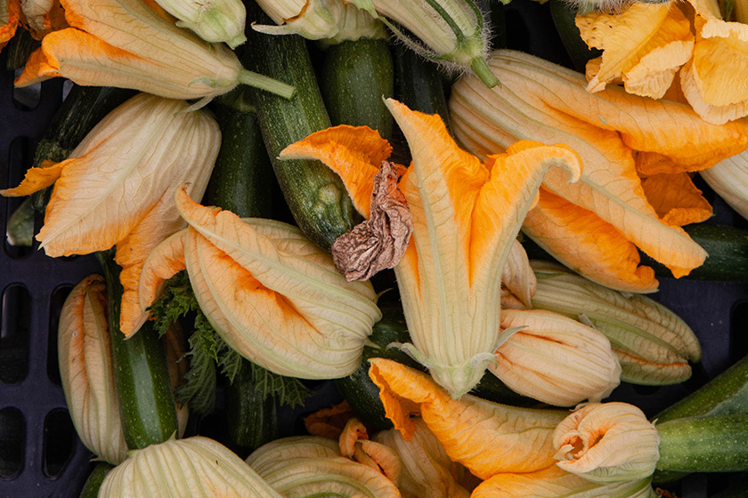 zuchinni flowers